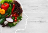 The Beginner's Guide to a Plant-Based Diet